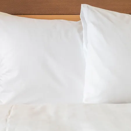 Hotel Gp Roma